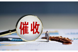 古塔专业催债公司的市场需求和前景分析